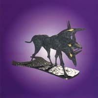 The Black Dog — Music For Photographers